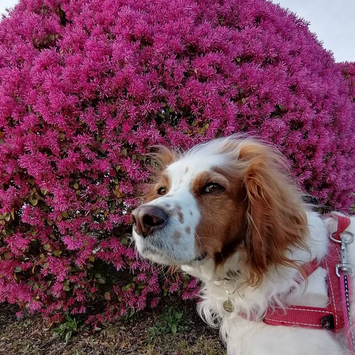 4118678d 9d38 45af 91a0 e66fb9f1d91e 1586135575329