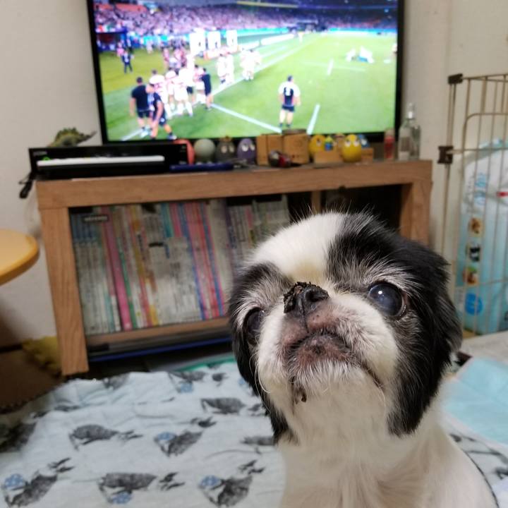 41187c3f 454c 46ec a07c c8006eefb0a2 1569662908533