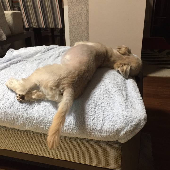 41187e3e 4930 4c5d 87b5 25ca14f5583b 1538909179550