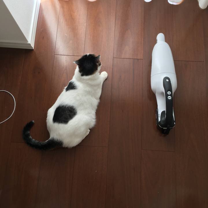 41188f5f 4bdd 41b7 93d8 9188b6fec762 1535610141731