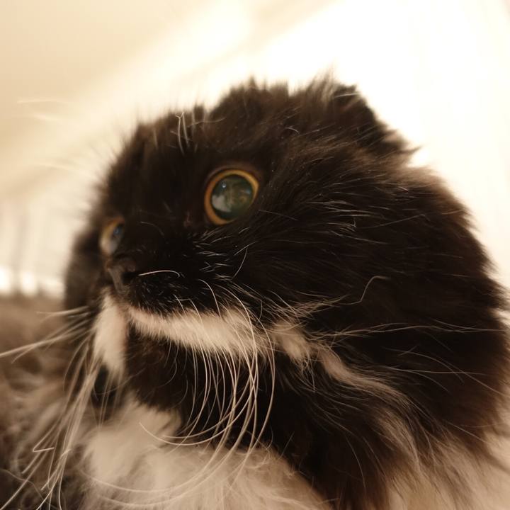 41188f68 c12b 481c a77d 45fc555e2038 1533260700382