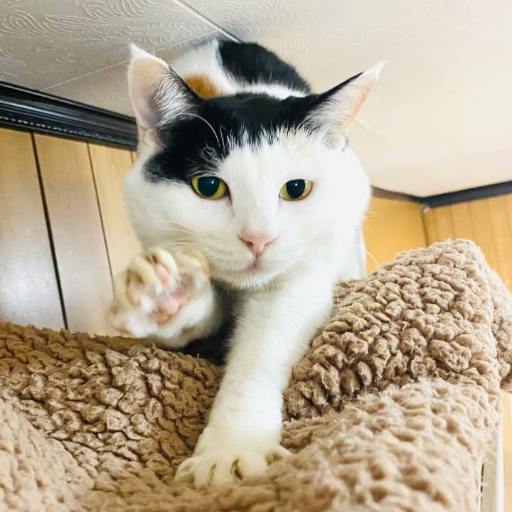 41189216 3cda 460d 950f 97a141af27c9 1698535267741