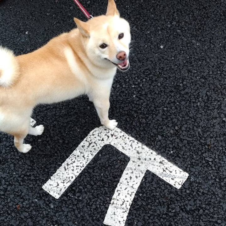 4118d979 7187 4b2b ba66 7faefdd6b061 1598912260493