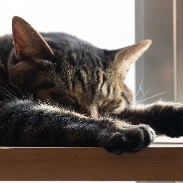 4118eb61 332f 4843 b683 7fe5a313ab22 1764766813411