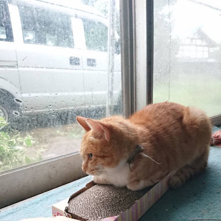 4118fc9d 090c 4368 88ef 8530027b5529 1595882055240