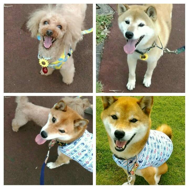 411909c8 5b76 4dfb 96f3 cc50eb5b7273 1564580647592