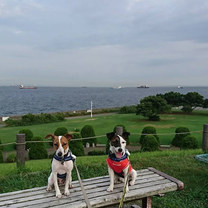 41193f9e bf1e 42d9 a3fb 1317fef9649b 1533975897619