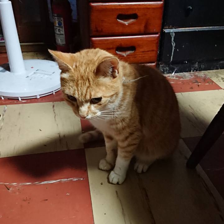 41194451 d520 4491 a0c9 1d4bfa9723ec 1593720054239