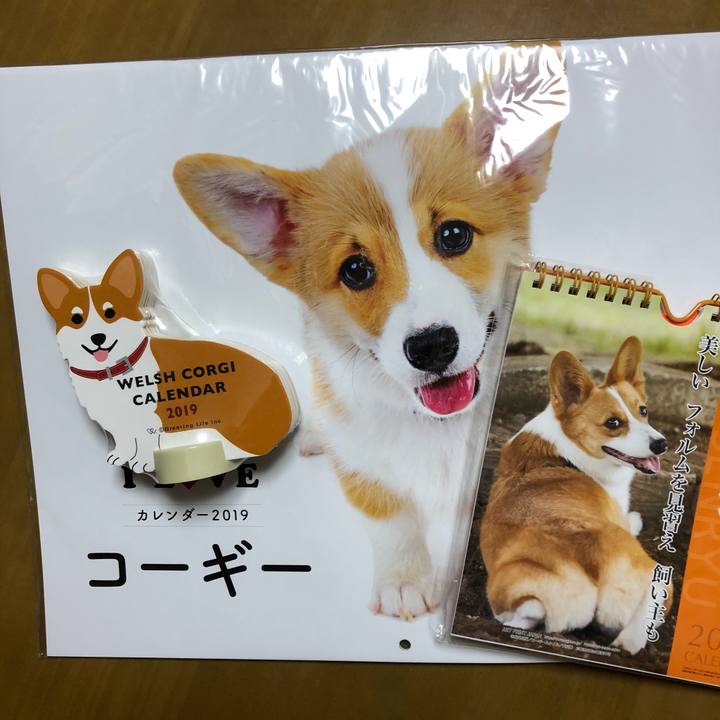 41196c58 bc40 4713 b6f3 7ecd90d3a983 1539780383082