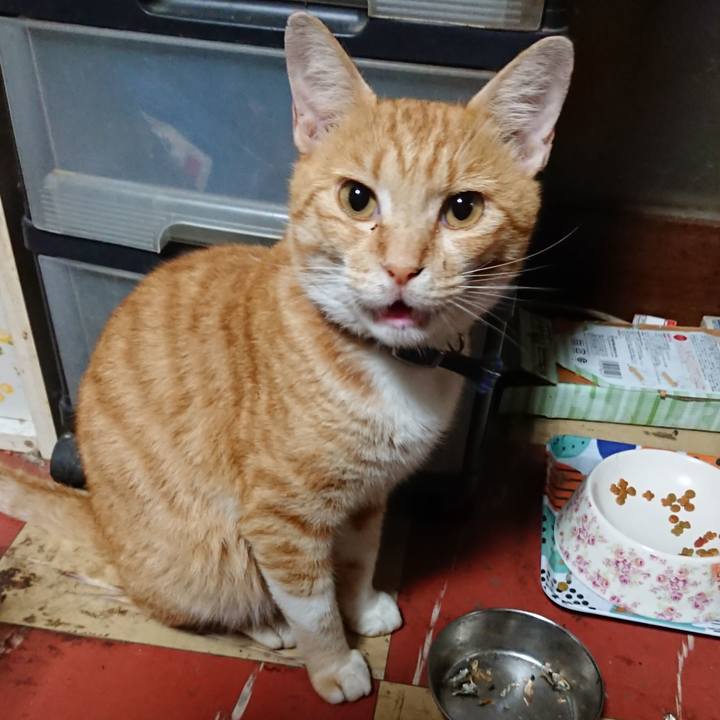 4119b9eb 72db 4d06 bfe2 c997d1c2f8dd 1563651947858