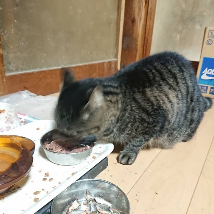 4119f982 2ab2 4525 8e5c 4c975248cabf 1635683784940