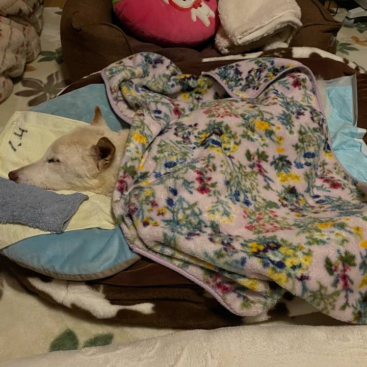 411a0da4 0cf9 4cdf be51 da7ee37fabcb 1677590877036