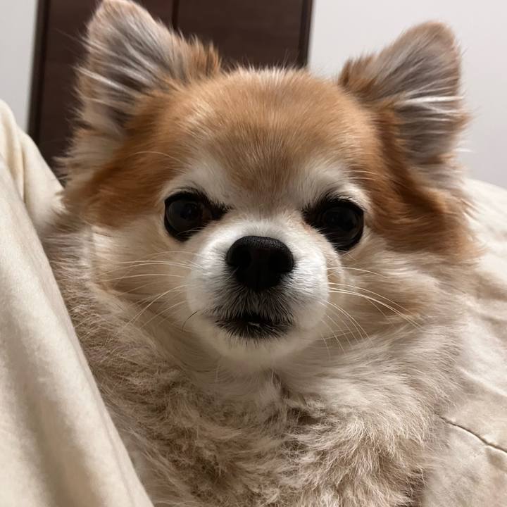 411a3906 8234 4a0e a4aa 9de48d685b44 1768175552888