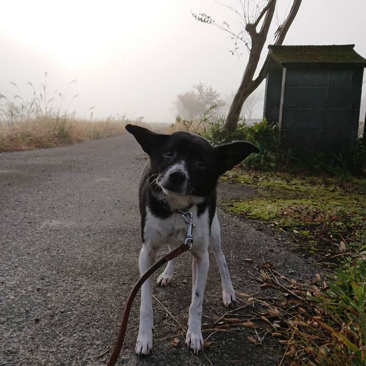 411a6119 532f 4186 9212 35d47aff92f0 1604578939003