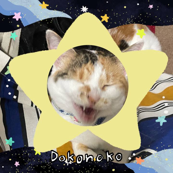 411a8df7 06be 43d2 b961 d4d0d458a6ac 1720849368972