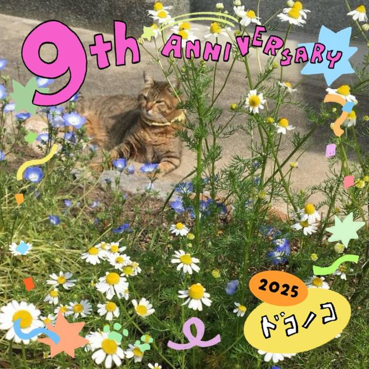 411abe3d 462d 40f6 854b 967c92c6d685 1749362839568