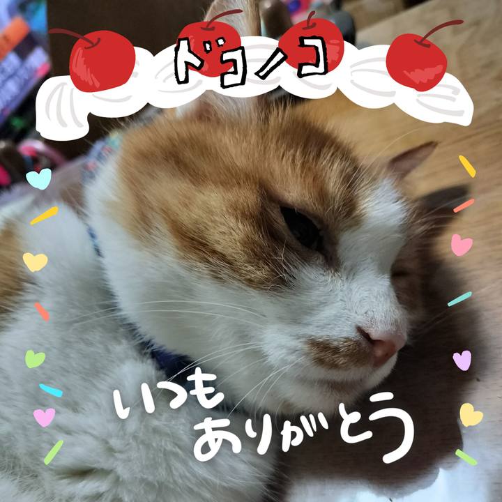 411b0e87 4323 4c80 bb36 9826f1627e45 1686003041258