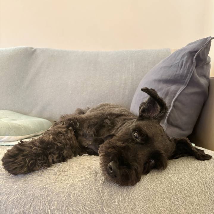 411b134a 99a0 4b29 8b4e 0a589d87cc47 1755645946012