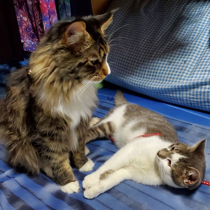 411b2a05 5432 4f0a a493 b34819f022e3 1675136284169