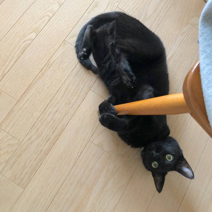 411b3f1e 0b49 4a7d 8602 a4b818c7593f 1558830230848