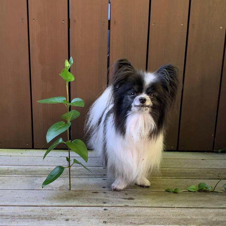 411b5ee7 db39 429c a7b4 8fa7073cbd9a 1587249191078