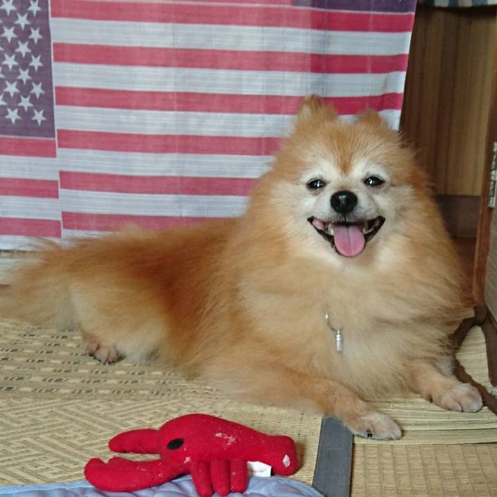 411b8c1f 7cb5 4532 bfa5 48bbbf4d0fe1 1531986483478