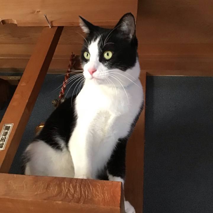 411b8ec1 7502 47bb a7b5 31d5cc667d5f 1735200779698