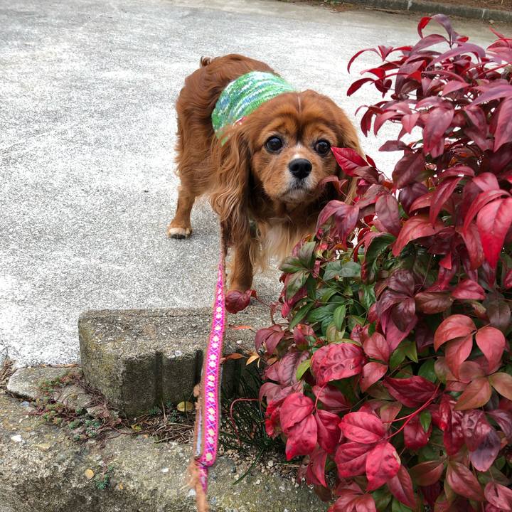 411be1a1 ca69 4aef a29d cefe2d8048ca 1645231190595