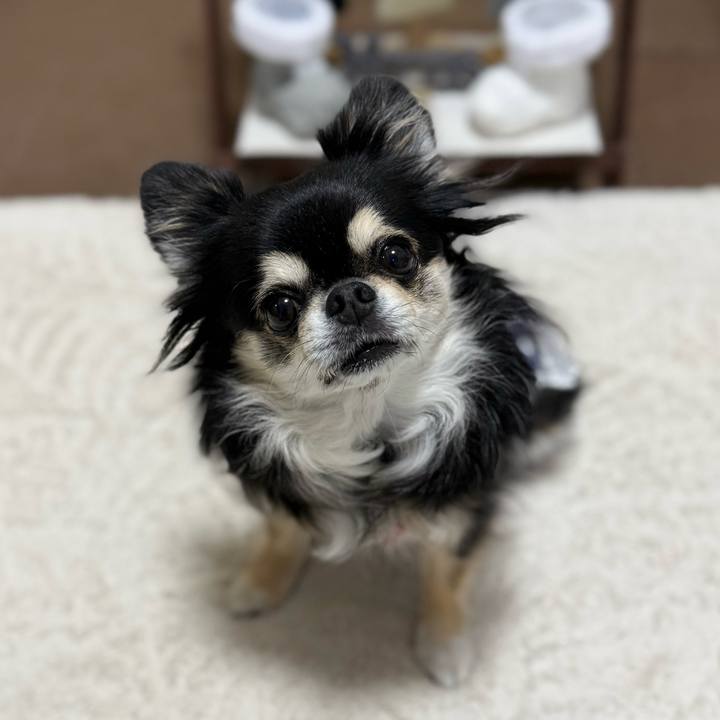 411bfe90 02f7 4480 9b4d ff8f69b45c3b 1763276605848