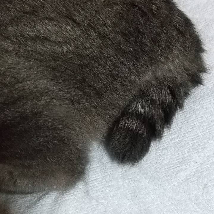 411c360e 9820 4e54 9d7b 88894c362aa1 1662646920462