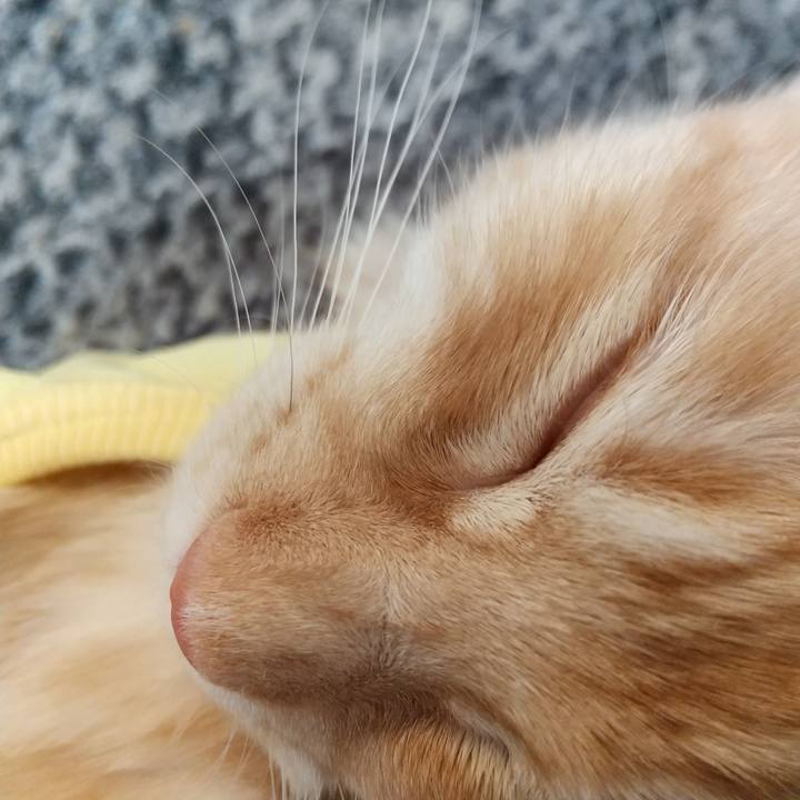 411c8acf 6a5f 438e acc6 0738731394ff 1614472812002