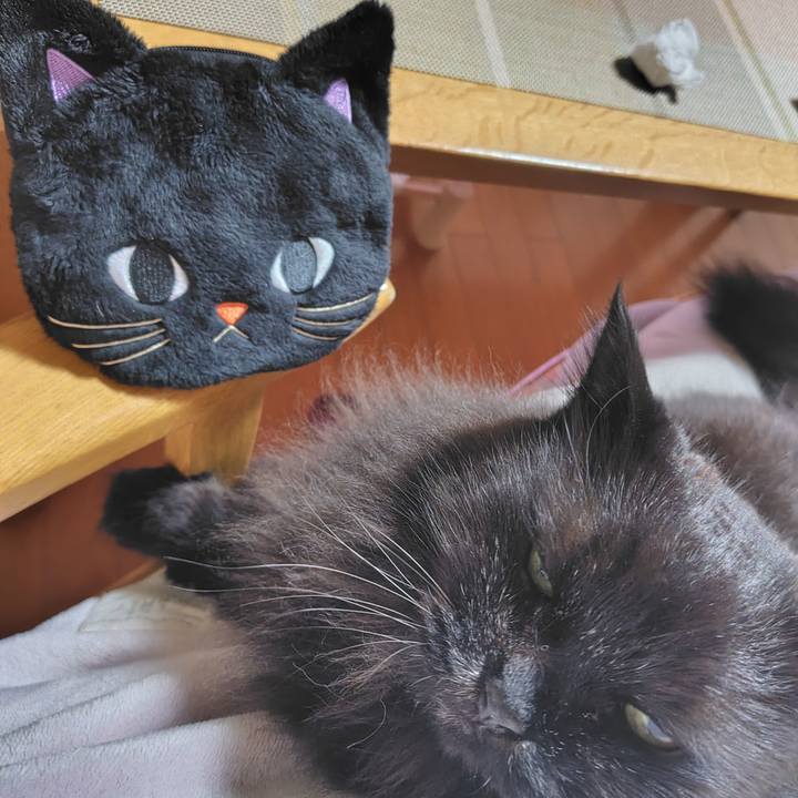 411c8ea2 7007 40b7 8f45 50471c2724dd 1760964795493