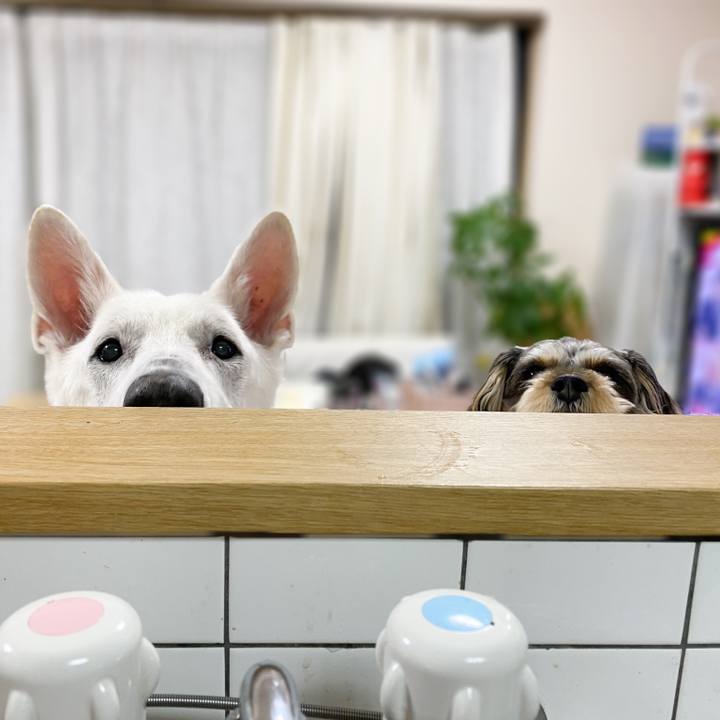 411ce079 1a2f 42c7 8641 5bc06d652786 1613310736380