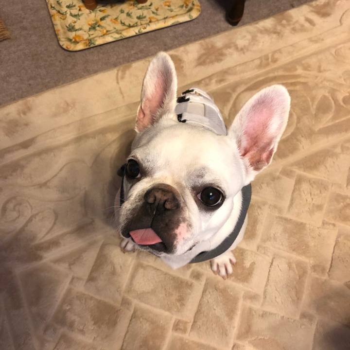 411d0609 816c 436d 9a20 fd273ead0c92 1564315295500