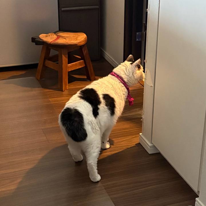 411d5f3f 198d 4072 b4d8 c3d438b0f038 1773459525503