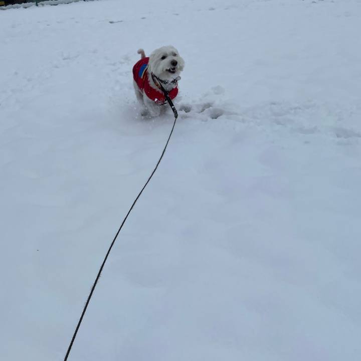 411d6800 c245 44bd 9d19 0f21772e0671 1641145690431