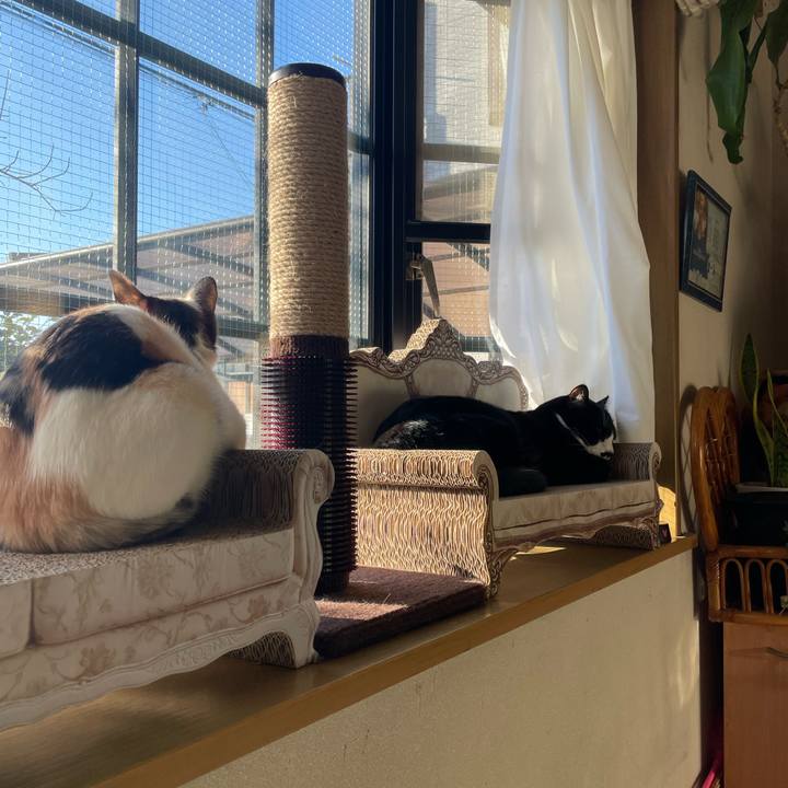 411d6a8c a4a6 4599 890e a26415dbc958 1676934169241