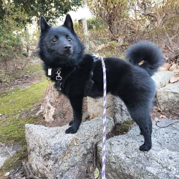 411d87db f447 421a ba69 d1aa9c3bf834 1769212017301