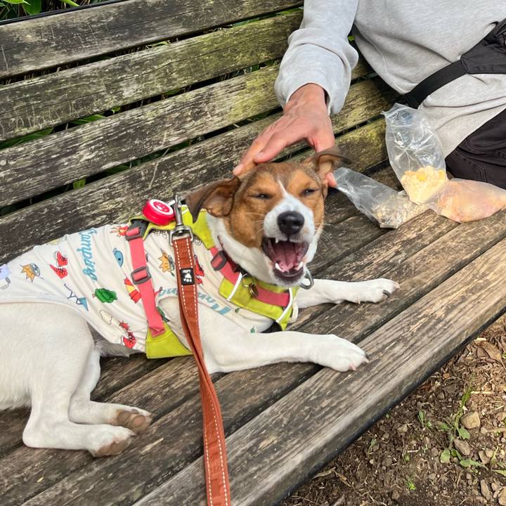 411d8d7a 1218 4cc2 994f 56c0afd9abf0 1717316296857