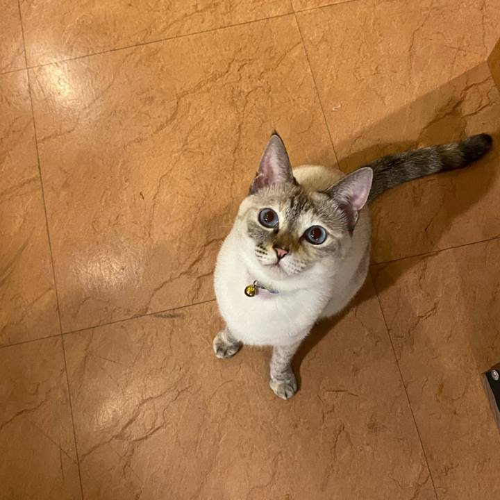 411da2d8 e026 47af b893 a0299599e5a0 1697621995464