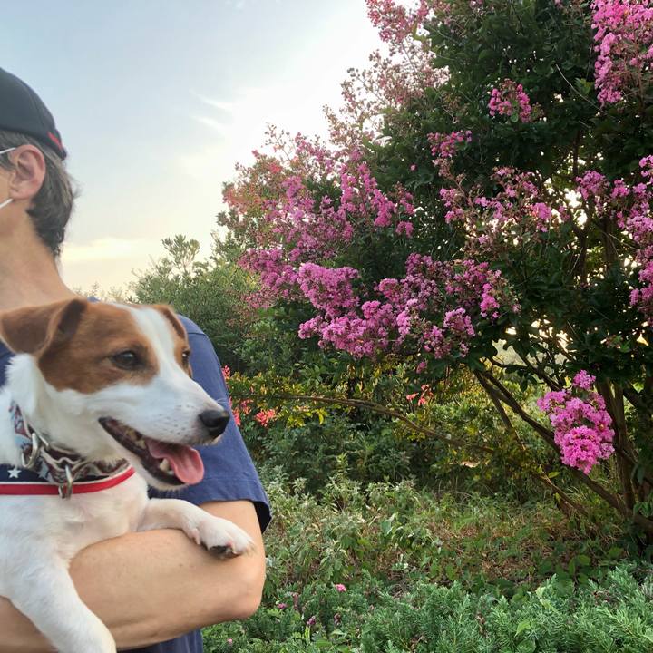 411db896 1b42 46d9 bd97 07aa9a2f4acb 1627958973701