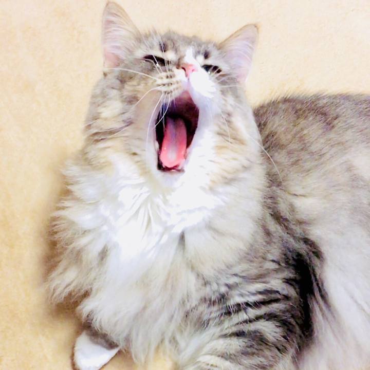 411e0b13 be44 4f38 89c4 2d764be50f29 1538742073056