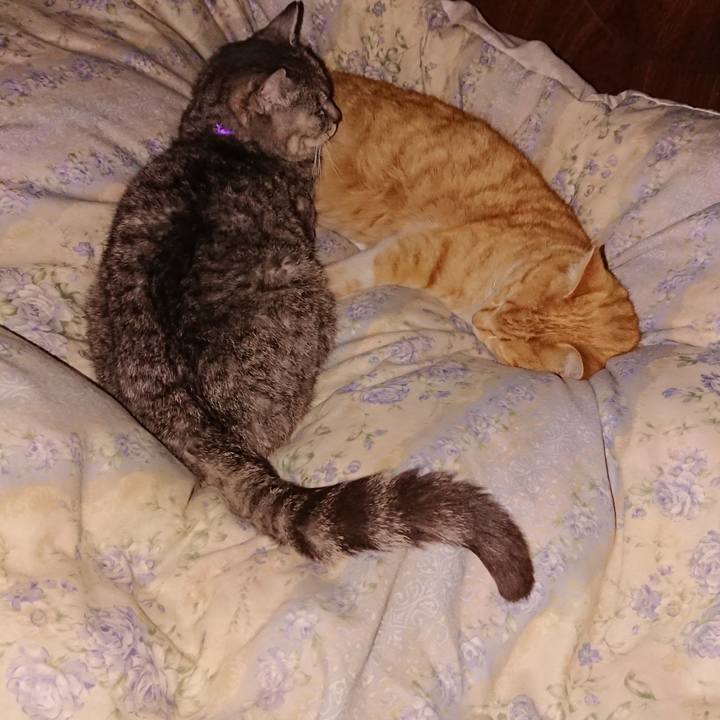 411e1187 c647 4068 aae3 6e309851fe64 1583246279784