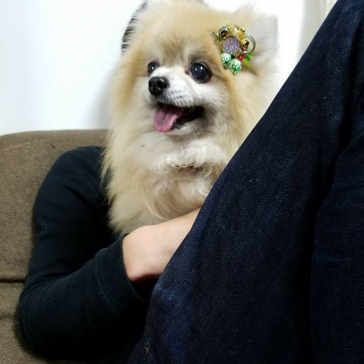 411e1e7f 2098 4260 a9f3 1c8151cd1d9d 1626607116110