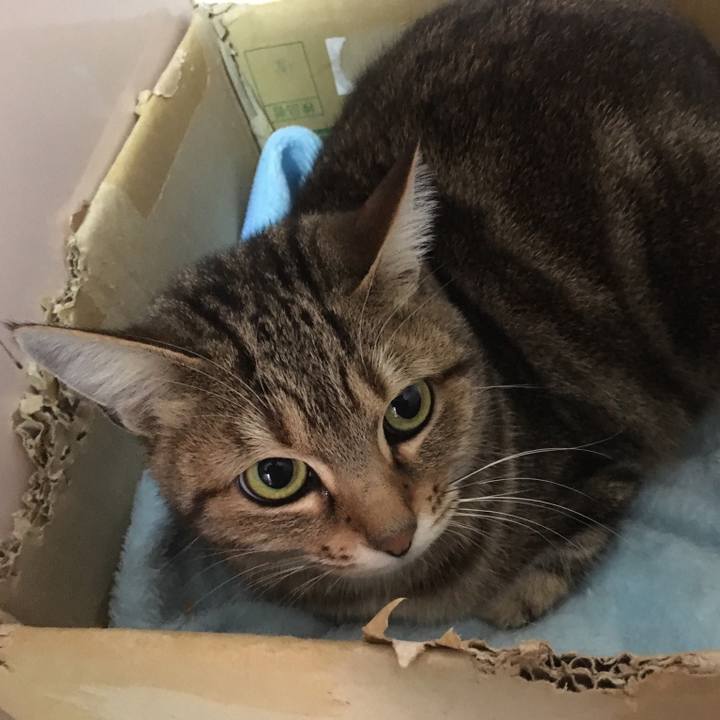 411e55d5 5bea 45af a467 28583c79fc18 1546254689468