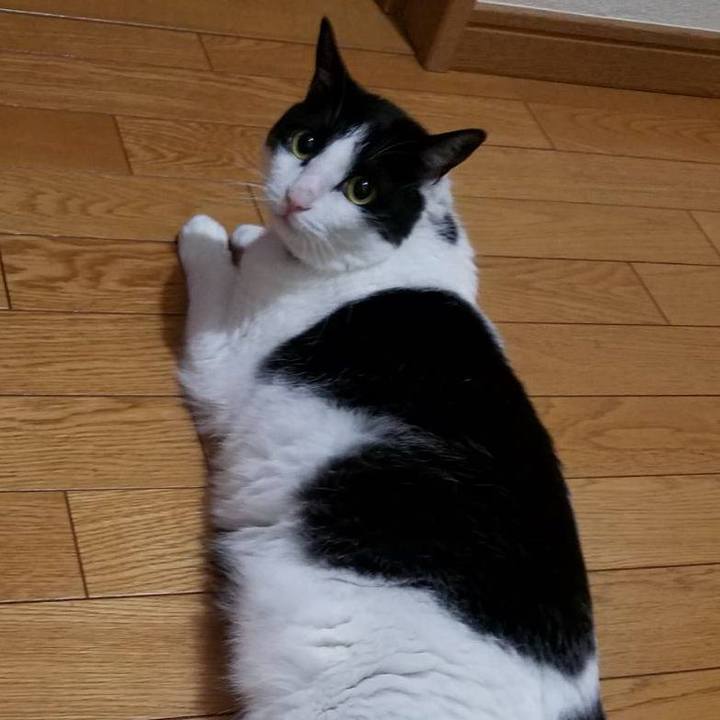 411e610c d87f 49e4 b72f ba52d75ab02b 1594468856615