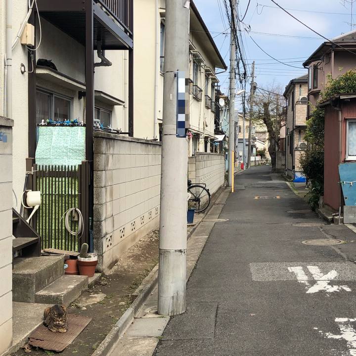 411e6ab7 4c51 4ce9 bfbf 4b1c8d7ad518 1554929127087