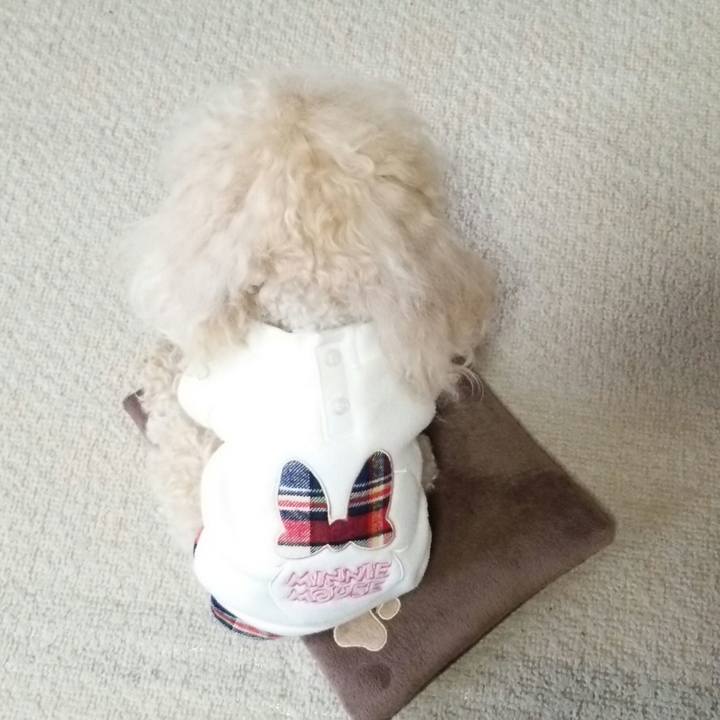 411e79d7 649b 41e6 adb7 eff1fc526ac1 1516013516985