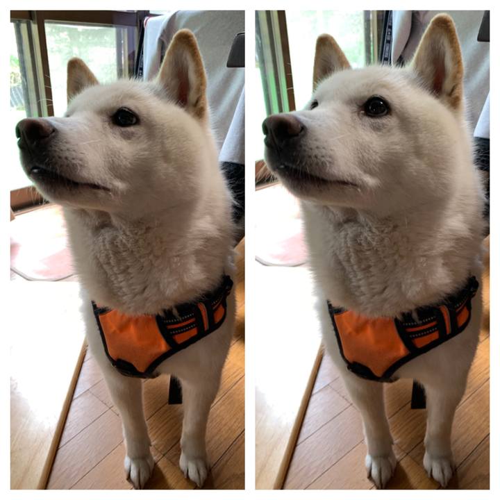 411e8b85 902c 4846 b993 5f8b2a91d924 1619911320900