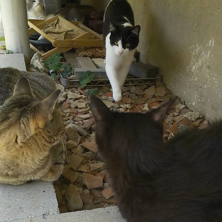 411ebe85 d96b 4967 a342 86063c5a7f93 1557286324284